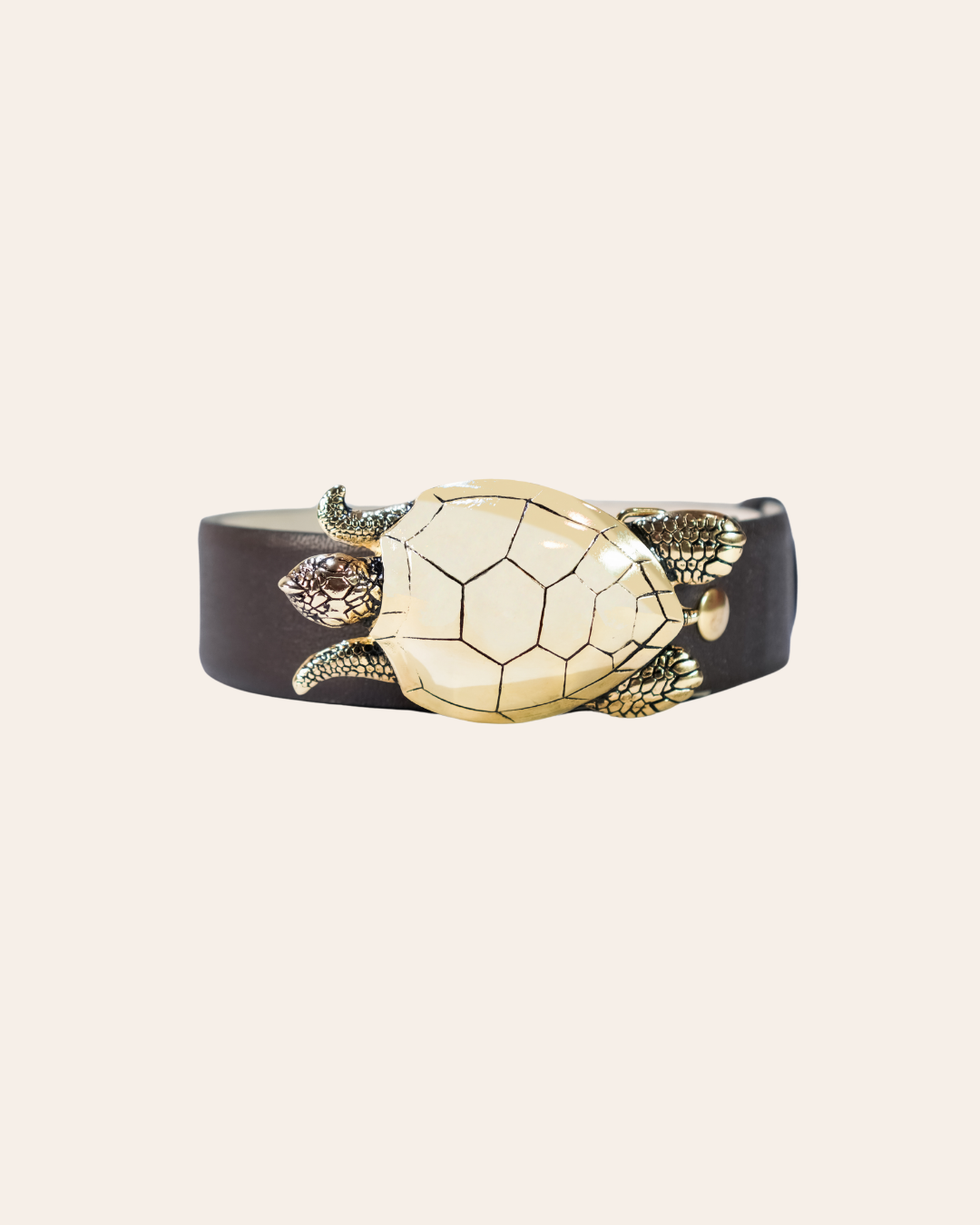 Hebilla Tortuga Grande