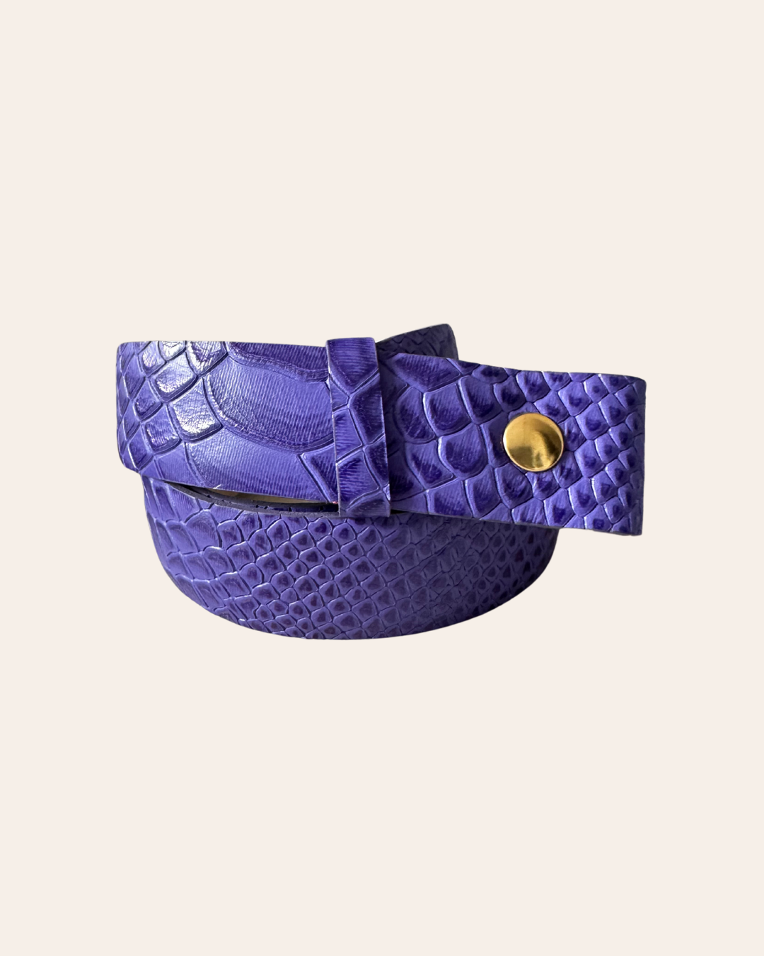 Cinturón standard (3.0 cm)