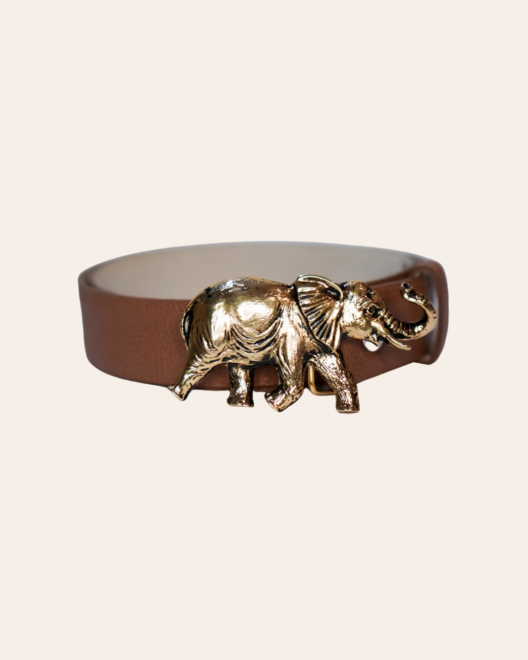 Correa Elefante Dorado - Café rugoso