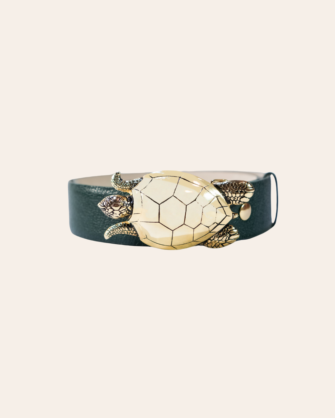 Hebilla Tortuga Grande