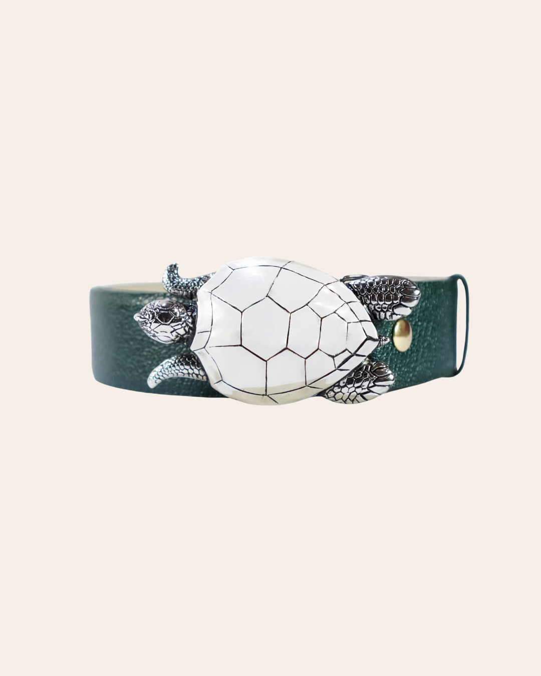 Hebilla Tortuga Grande