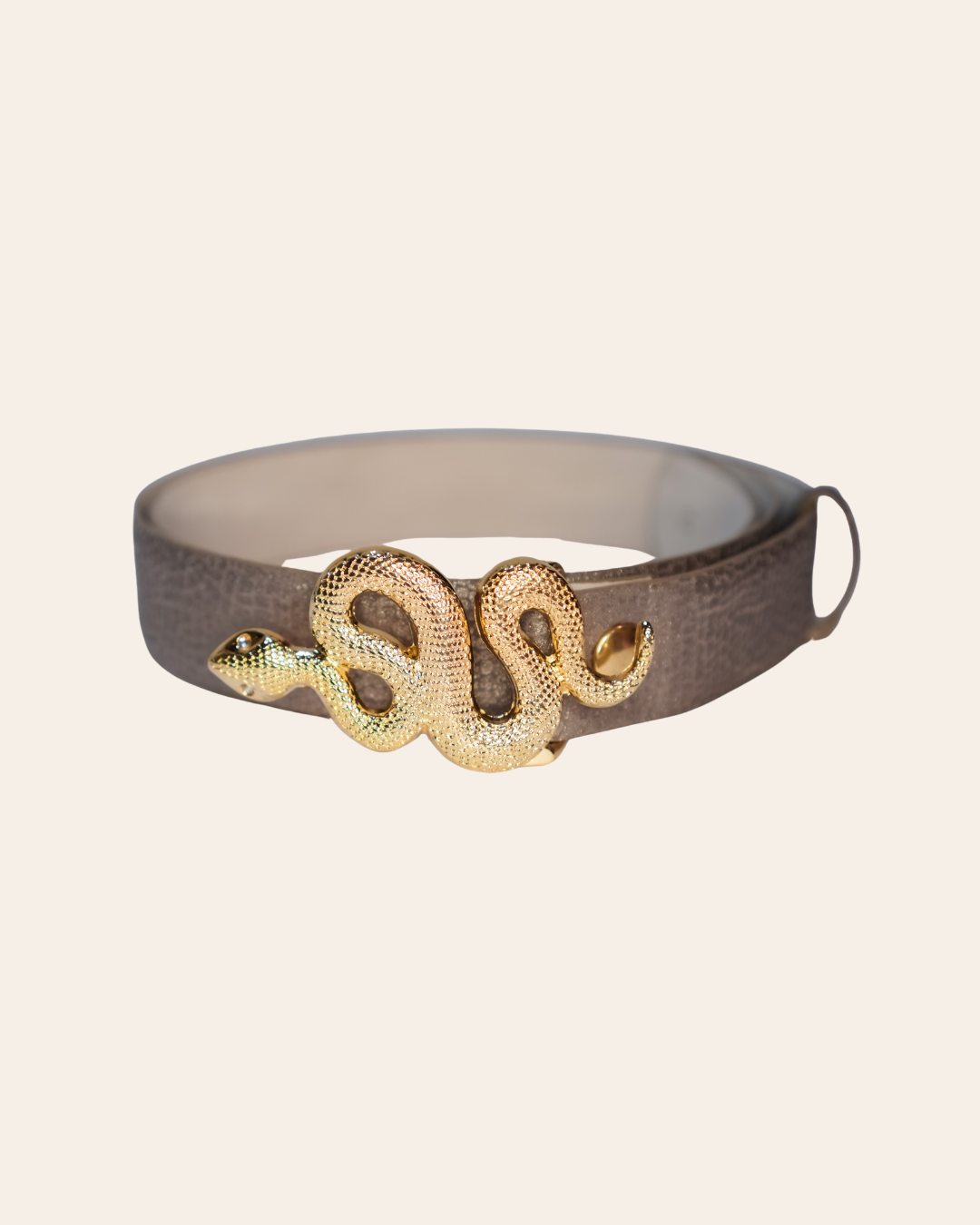 Hebilla Serpiente