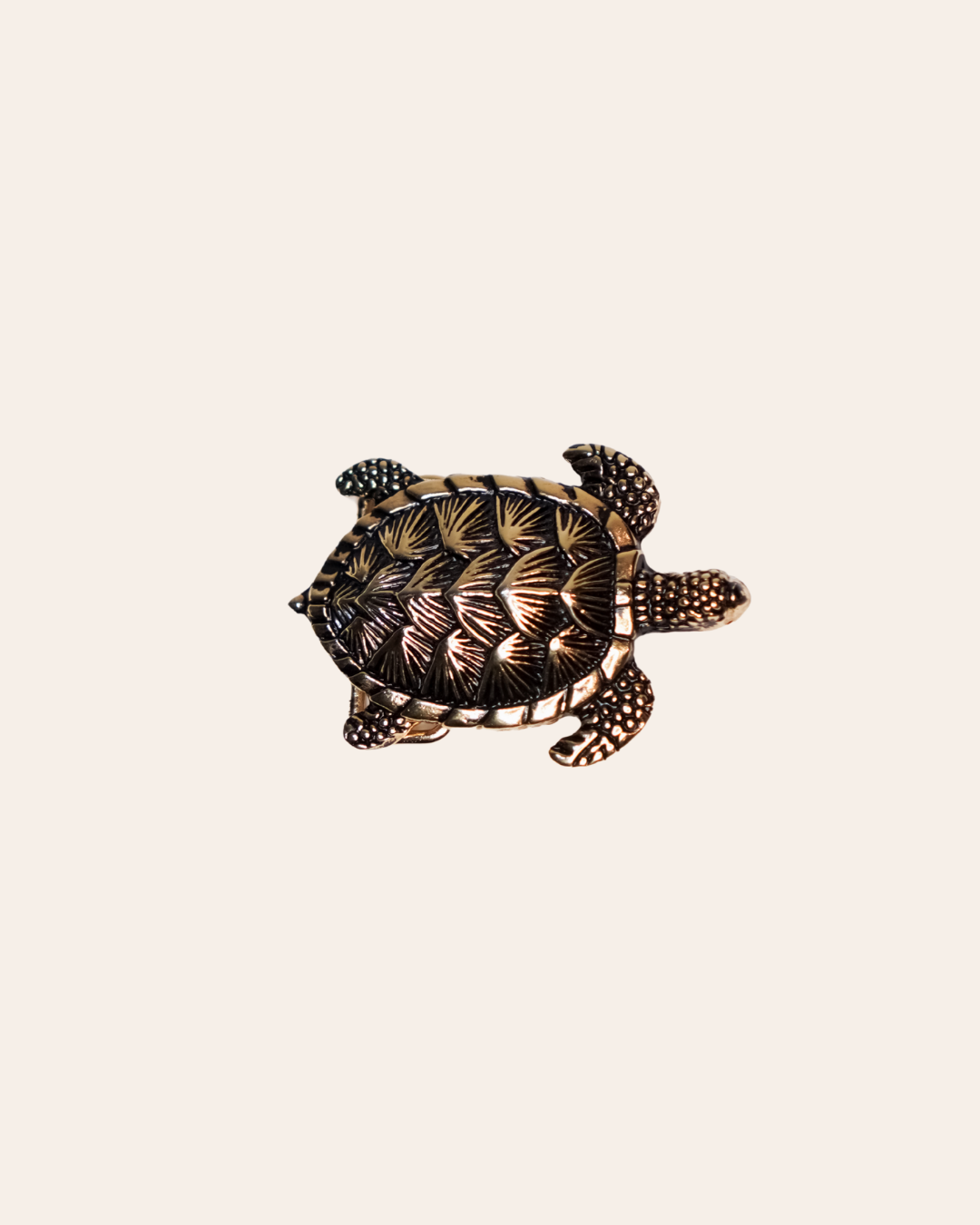 Hebilla Tortuga Pequeña