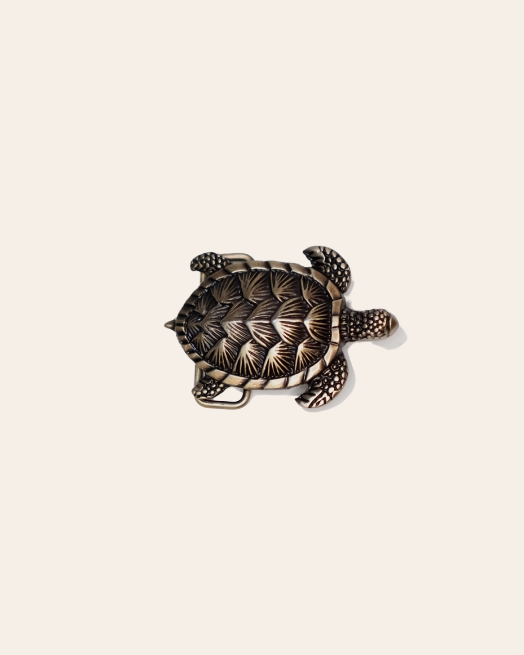 Hebilla Tortuga Pequeña