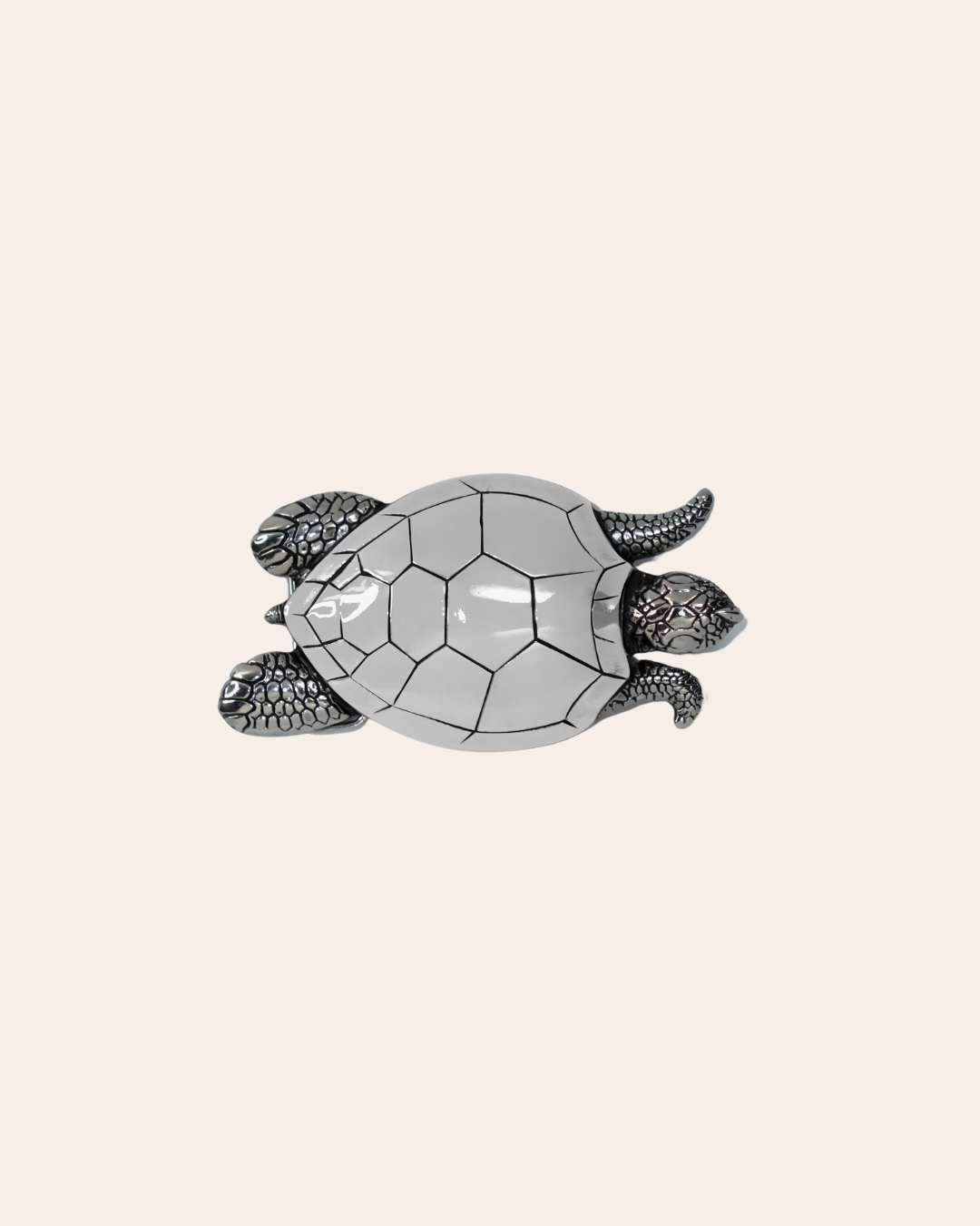 Hebilla Tortuga Grande