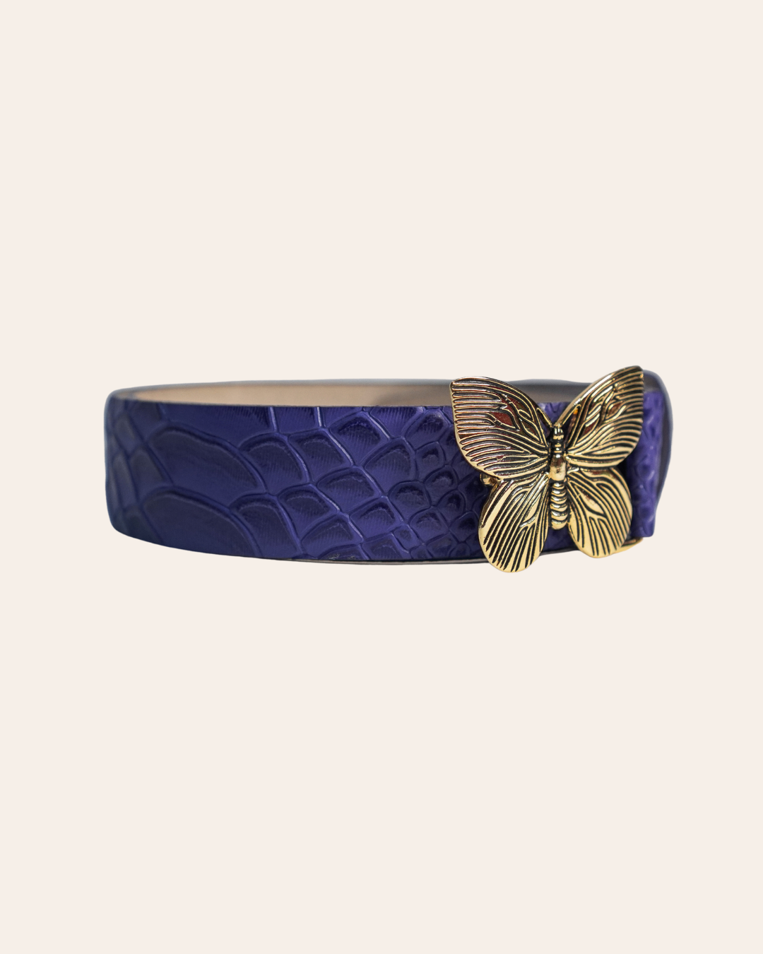 Correa Mariposa Dorada - Anaconda Morado