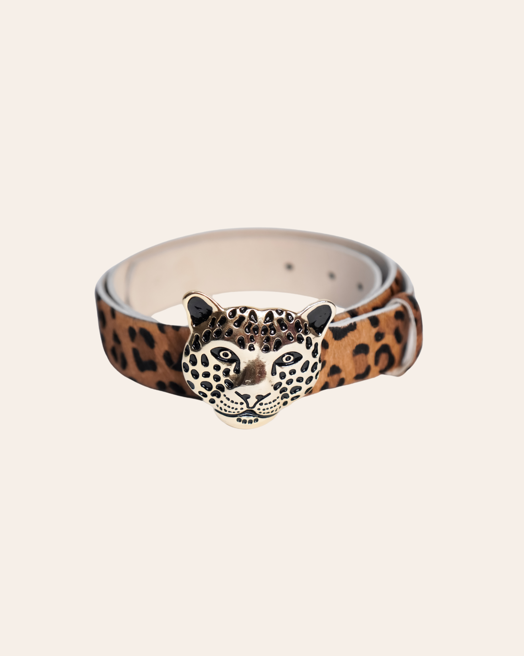 Correa Leopardo Dorado - Leopardo café