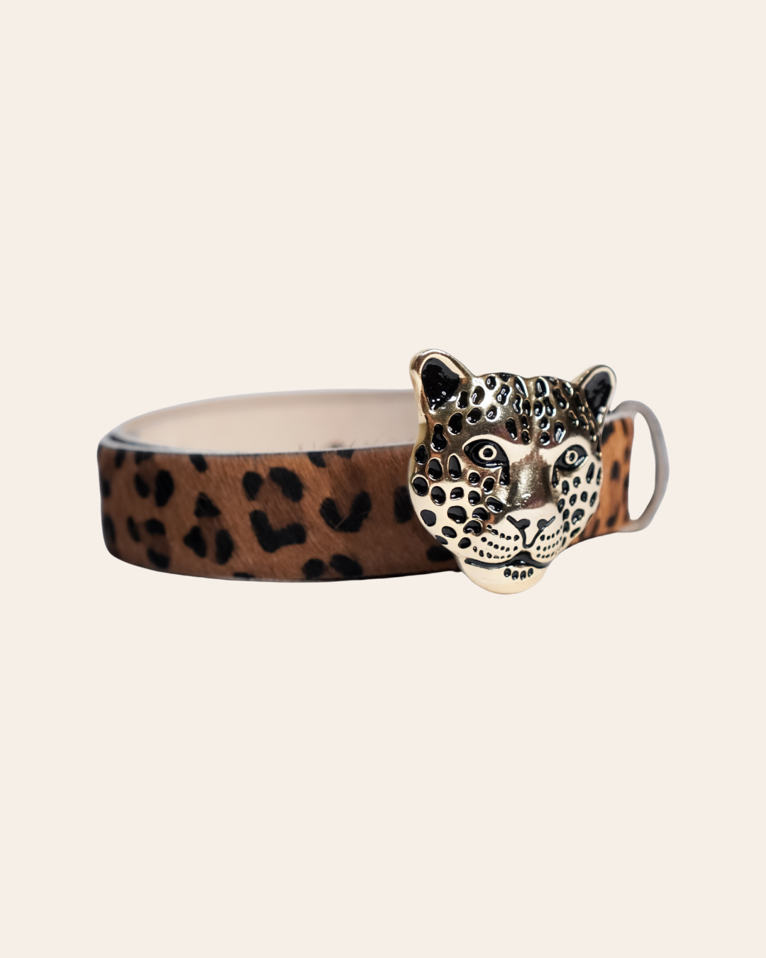 Correa Leopardo Dorado - Leopardo café