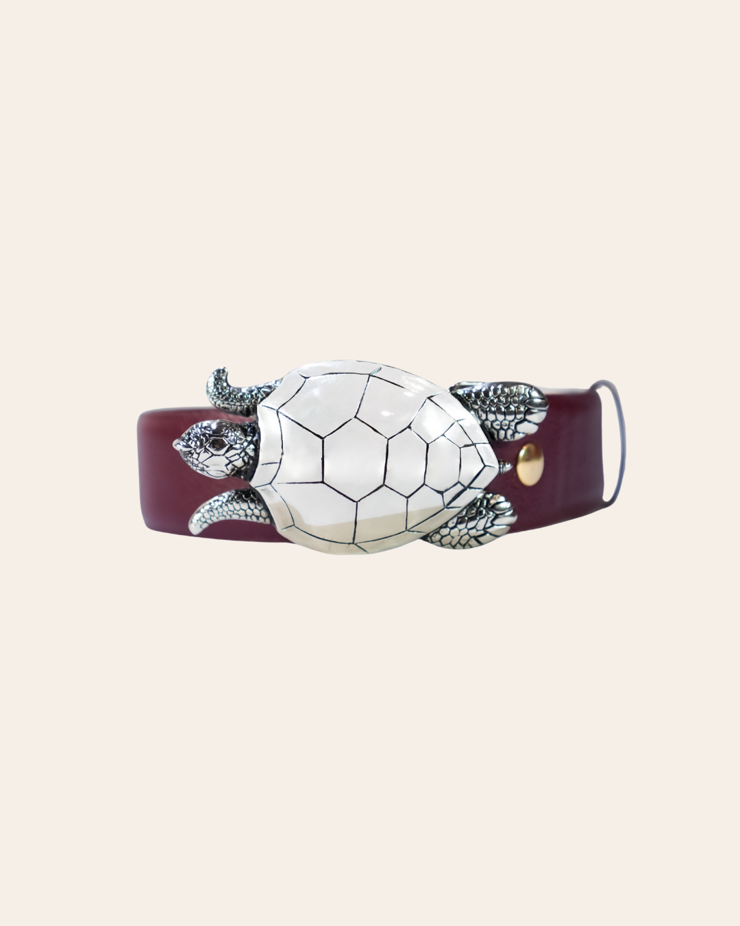 Hebilla Tortuga Grande