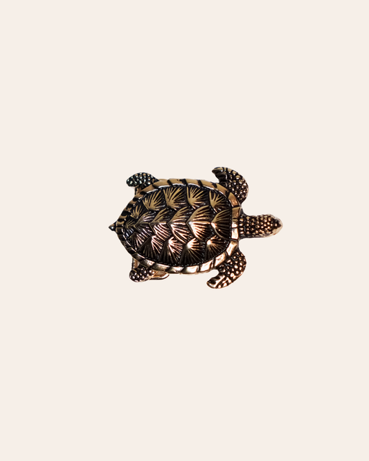 Hebilla Tortuga Pequeña