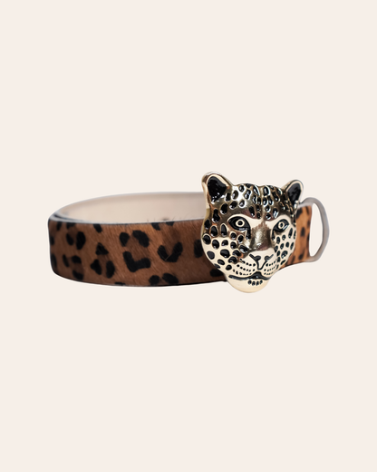 Correa Leopardo Dorado - Leopardo café
