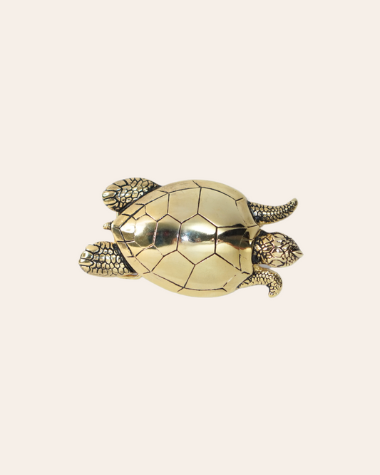 Hebilla Tortuga Grande